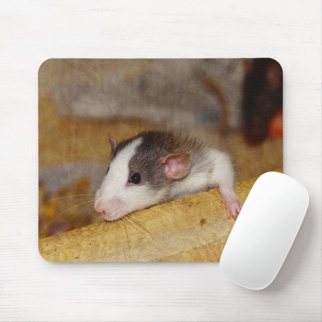 Alfombrilla De Ratón Rata Cuta (Con ratón)