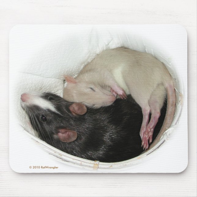 Alfombrilla De Ratón Rata del bebé el dormir (Frente)