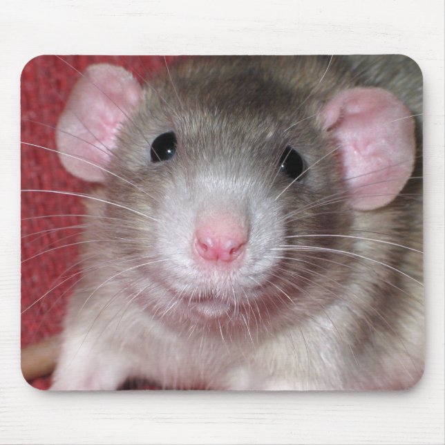 Alfombrilla De Ratón Rata Dumbo Adorable (Frente)