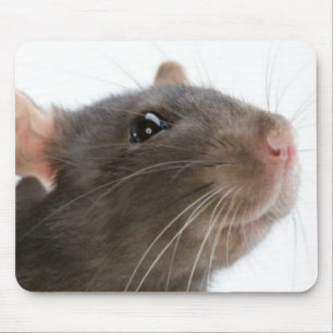 Alfombrilla De Ratón Ratas!!