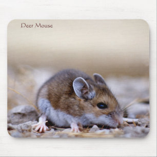 Alfombrilla De Ratón Ratón ciervo en un Mousepad