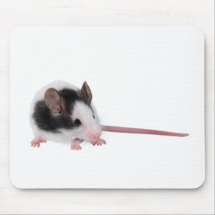 Alfombrilla De Ratón Ratón de casa