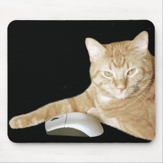 Alfombrilla De Ratón Ratón de gato y computadora