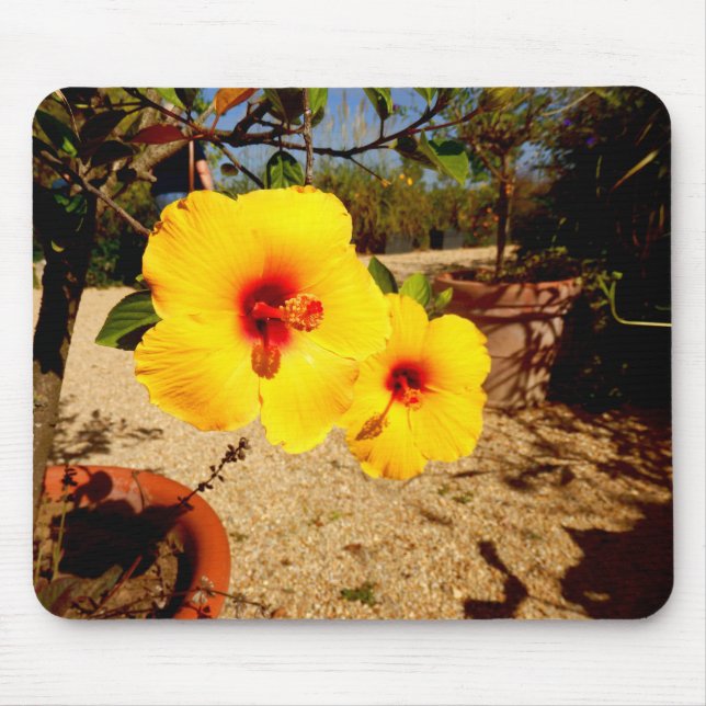 Alfombrilla De Ratón Ratón Hibiscus (Frente)