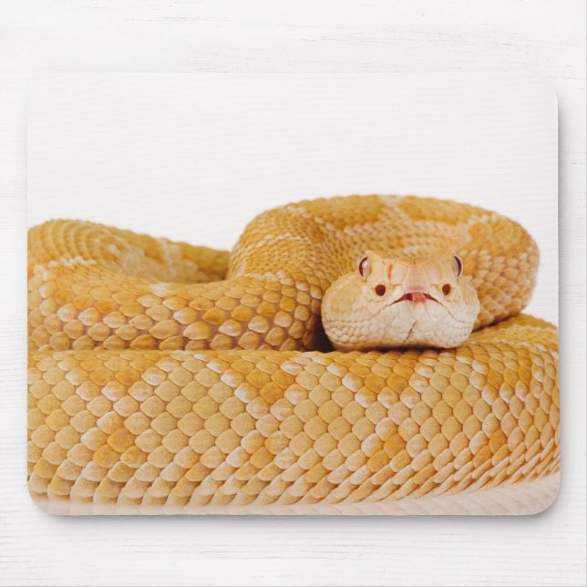 Alfombrilla De Ratón Rattlesnake Albino Western Diondback (Crotalus A (Frente)