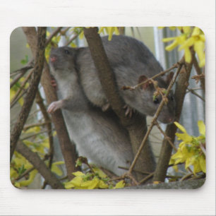 Alfombrilla De Ratón Ratty cuddle Mousepad