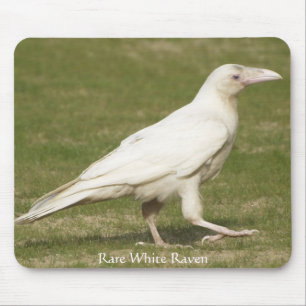 Alfombrilla De Ratón Raven blanco poco frecuente