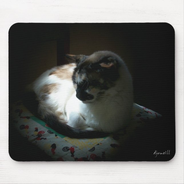 Alfombrilla De Ratón Ray of Sun Napping Kitty (Frente)
