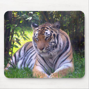 Alfombrilla De Ratón Reclinación del tigre