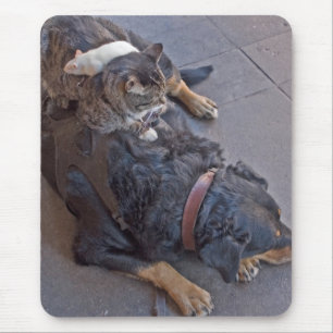 Alfombrilla De Ratón Reclinación fácil