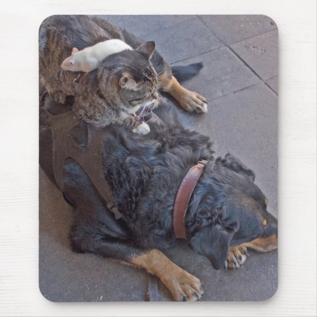 Alfombrilla De Ratón Reclinación fácil (Frente)