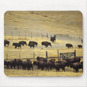 Alfombrilla De Ratón Recopilación del National Bison Range en Montana