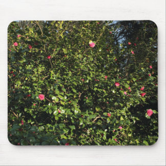 Alfombrilla De Ratón Red Camellia Bush