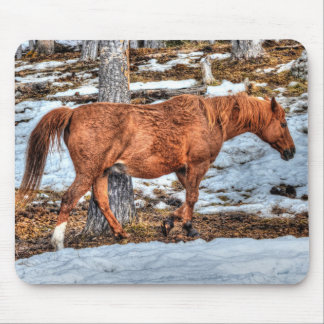 Alfombrilla De Ratón Red Dun Ranch Horse Equine Photography