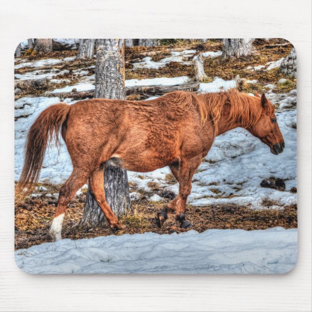 Alfombrilla De Ratón Red Dun Ranch Horse Equine Photography (Frente)