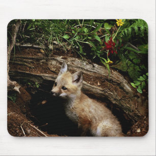 Alfombrilla De Ratón Red Fox Kit