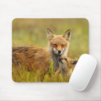 Alfombrilla De Ratón Red Fox Kit busca a mamá