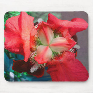 Alfombrilla De Ratón Red Iris Mousepad