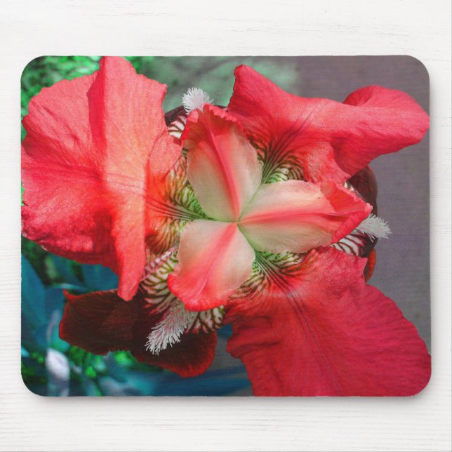 Alfombrilla De Ratón Red Iris Mousepad (Frente)