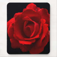 Red Rose mpcnm