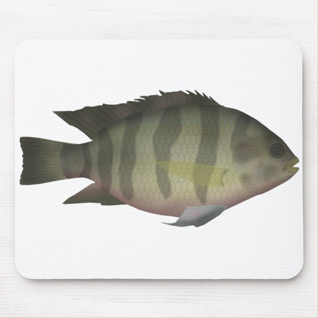 Alfombrilla De Ratón Redbelly Tilapia (Frente)