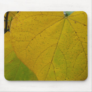 Alfombrilla De Ratón Redbud amarillo deja fotografía de la naturaleza o