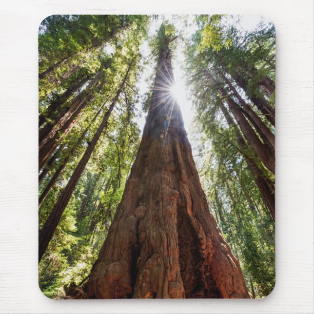 Alfombrilla De Ratón Redwoods imponentes (Frente)