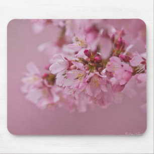 Alfombrilla De Ratón Reflejos Rojizos Pálidos de Flor de Cerezo Sakura