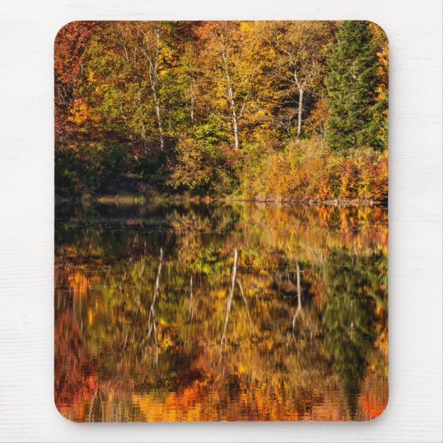 Alfombrilla De Ratón Reflexión de otoño en Coffin Pond (Frente)