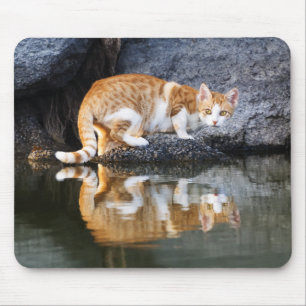 Alfombrilla De Ratón Reflexión del gato en foto animal de agua de estan