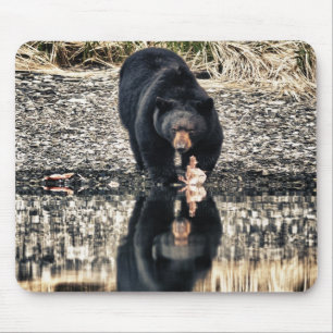 Alfombrilla De Ratón Reflexiones del oso negro