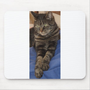 Alfombrilla De Ratón Regal Dave Mousepad