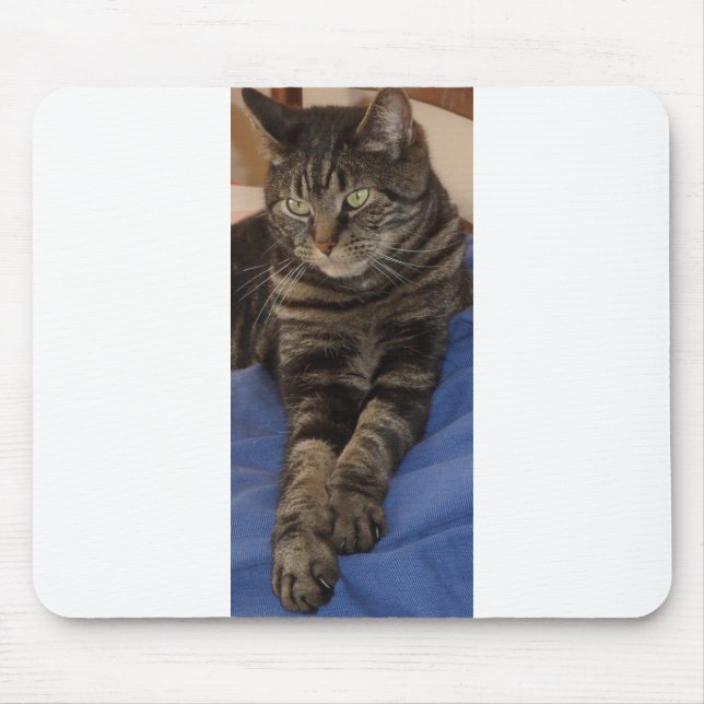 Alfombrilla De Ratón Regal Dave Mousepad (Frente)