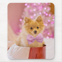 Regalo de cachorro de perro de Navidad