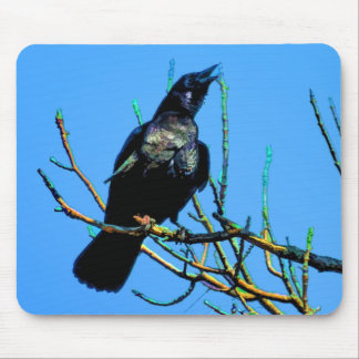 Alfombrilla De Ratón Regalo de foto de vida silvestre en raven y ramas