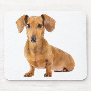 Alfombrilla De Ratón Regalo para amante de perros Dachshund Cute Wiener