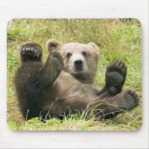 Alfombrilla De Ratón Regalos de Brown_Bear_Kodiak_NWR