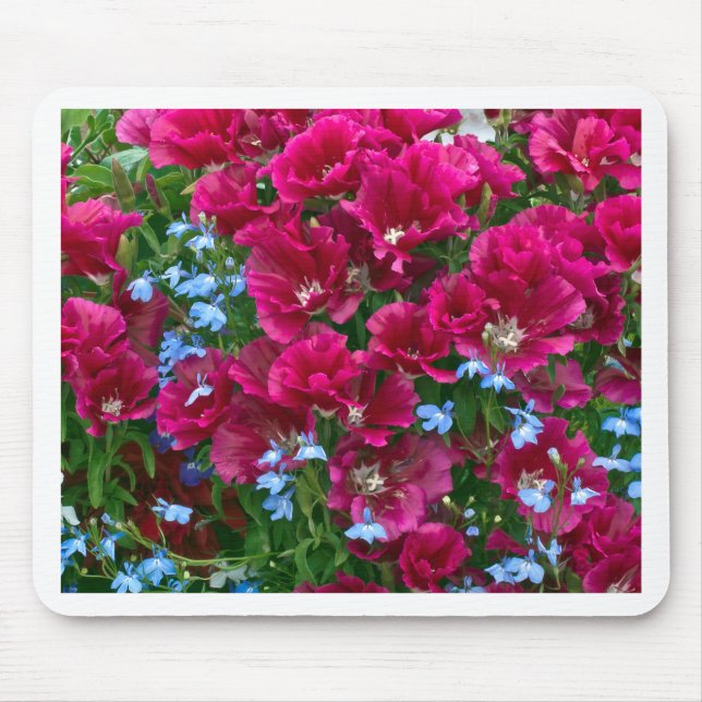 Alfombrilla De Ratón Regalos De Godetia Y Lobelia (Frente)