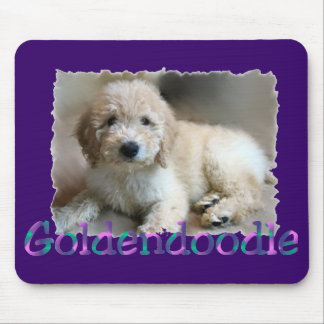 Alfombrilla De Ratón Regalos de Goldendoodle