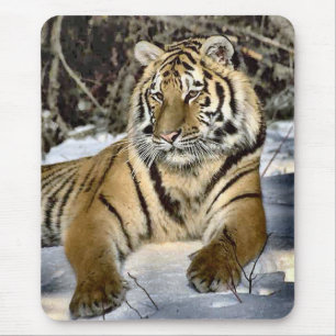 Alfombrilla De Ratón Regalos del arte de los amantes del tigre