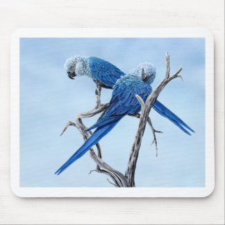 Alfombrilla De Ratón Regalos del Macaw de Spix para el amante de Spix
