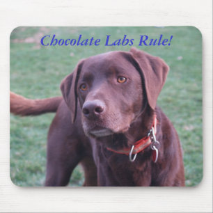 Alfombrilla De Ratón ¡Regla de los laboratorios del chocolate!