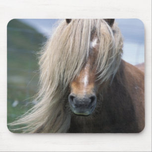 Alfombrilla De Ratón Reino Unido, Escocia, Islas Shetland, pony de Shet