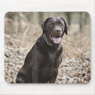 Alfombrilla De Ratón Reino Unido, Inglaterra, Suffolk, bosque de