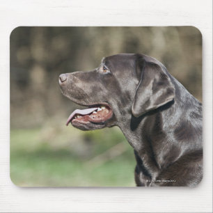 Alfombrilla De Ratón Reino Unido, Inglaterra, Suffolk, bosque de