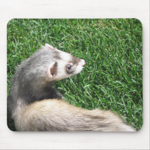 Alfombrilla De Ratón Relajación
