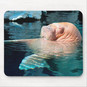Alfombrilla De Ratón Relajación de la almohadilla del ratón Walrus