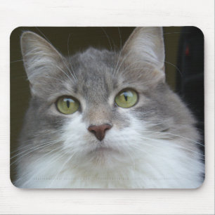 Alfombrilla De Ratón Rema Mousepad 003