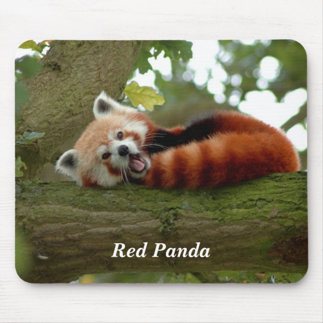 Alfombrilla De Ratón Reposo del Panda Rojo (Frente)