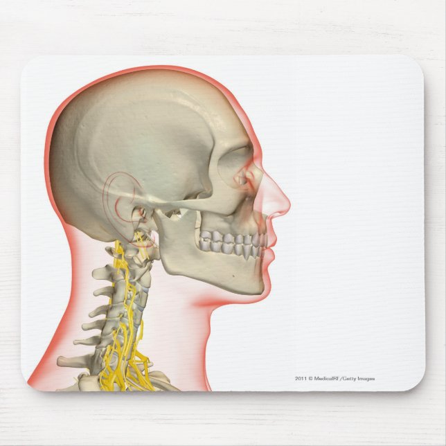 Alfombrilla De Ratón Representación de los nervios del cuello (Frente)